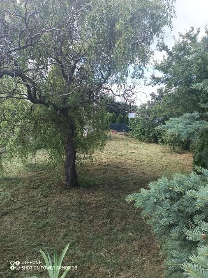 Działka rod Szamotuły, ul. Feliksa Nowowiejskiego. Zdjęcie 4