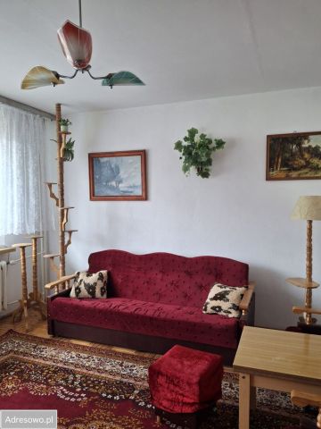 Mieszkanie 2-pokojowe Mława. Zdjęcie 1