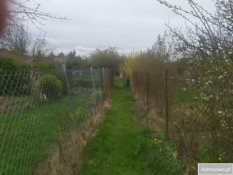 Działka rod Szczecin. Zdjęcie 5