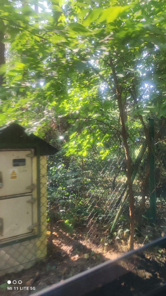 Działka budowlana Bądzyń, ul. Zbigniewa. Zdjęcie 6