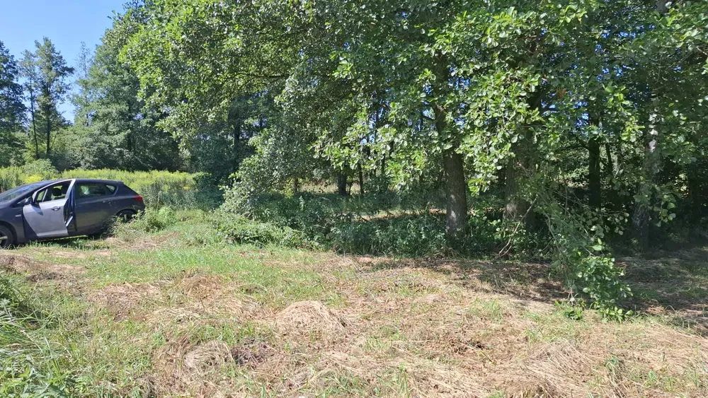 Działka budowlana Radziwiłłów, ul. Zielna. Zdjęcie 8