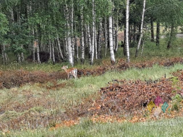 Działka budowlana Różnowo. Zdjęcie 9