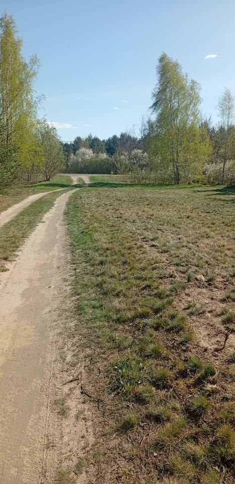 Działka budowlana Nowe Grochale. Zdjęcie 1