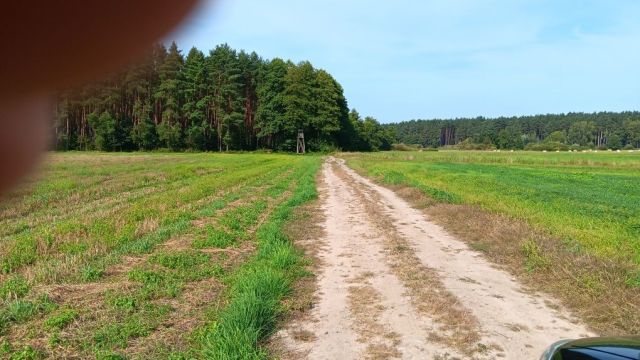 Działka rolna Rodzone. Zdjęcie 1