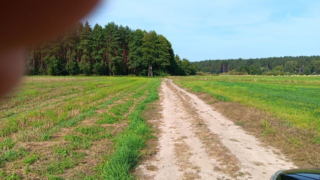 Działka rolna Rodzone