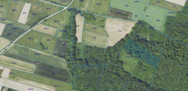 Działka rolna Podniebyle. Zdjęcie 9