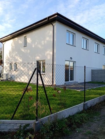 bliźniak Lisi Ogon. Zdjęcie 1