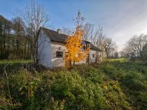 Działka siedliskowa Łęg Probostwo. Zdjęcie 2