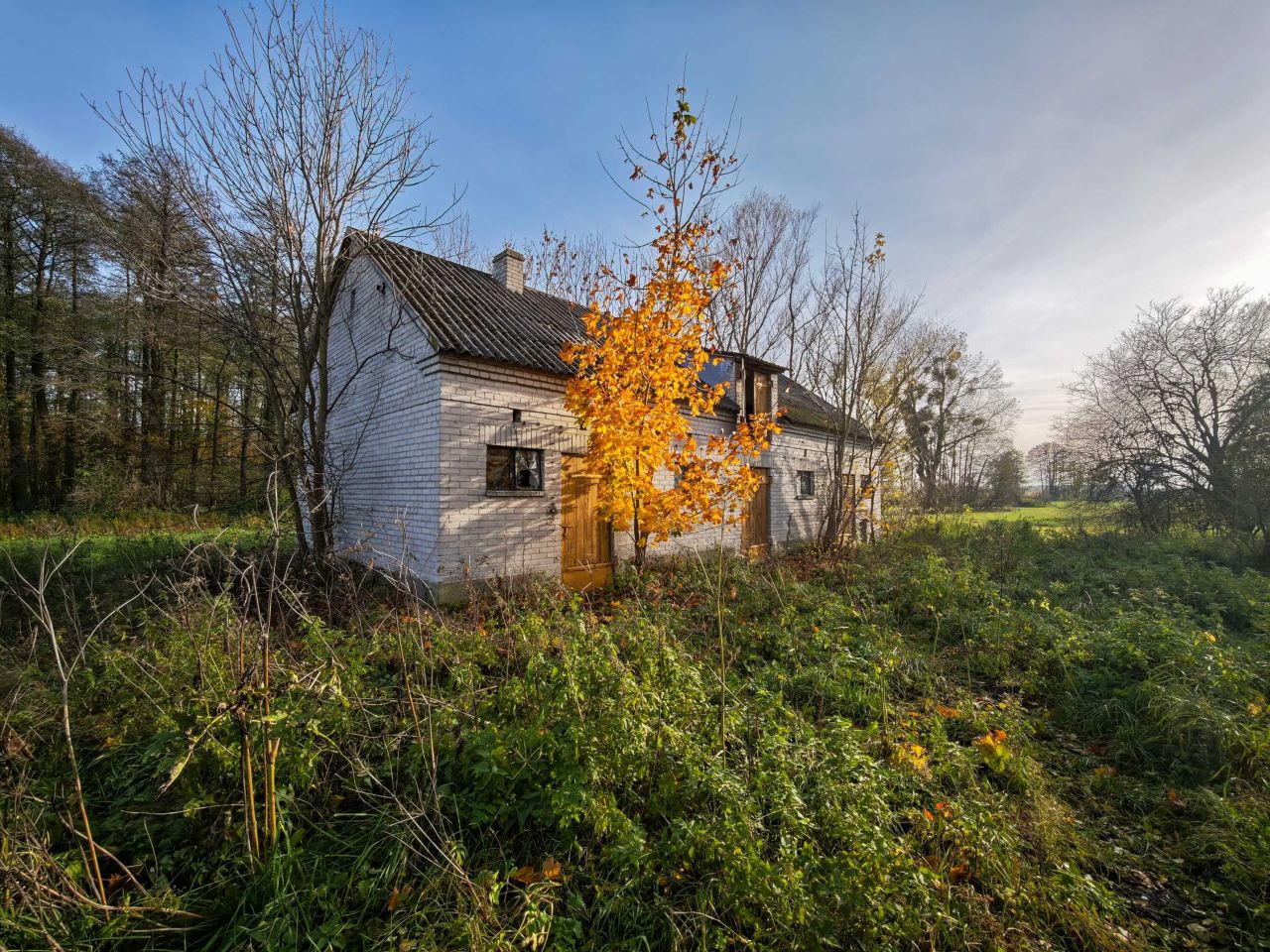 Działka siedliskowa Łęg Probostwo. Zdjęcie 3