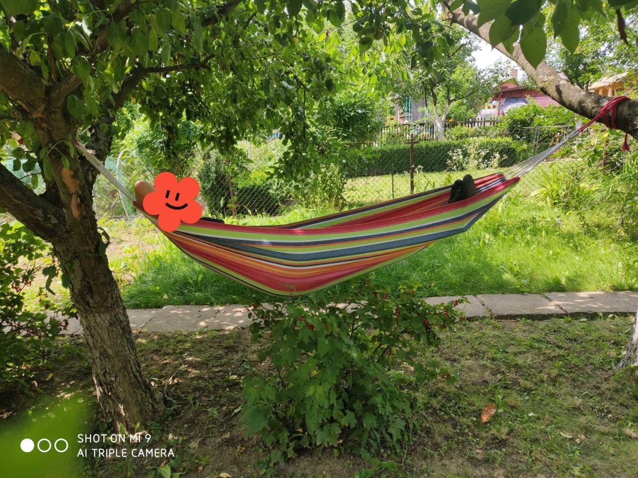 Działka rod Wola Mielecka. Zdjęcie 4