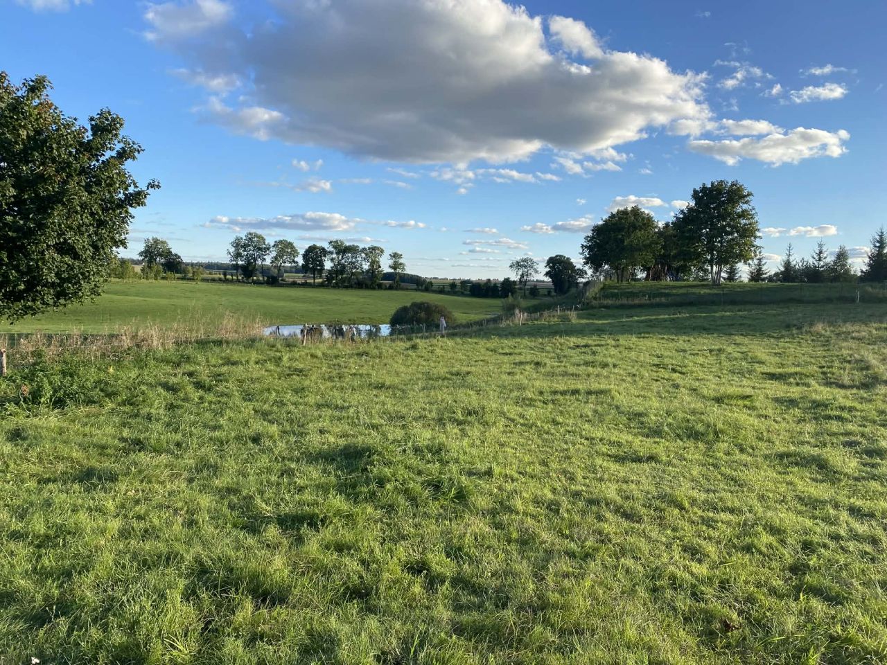 Działka budowlana Jeziorowskie, Jeziorowskie. Zdjęcie 10