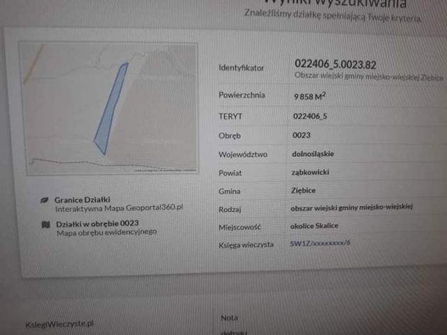 Działka rolna Skalice, Skalice. Zdjęcie 1