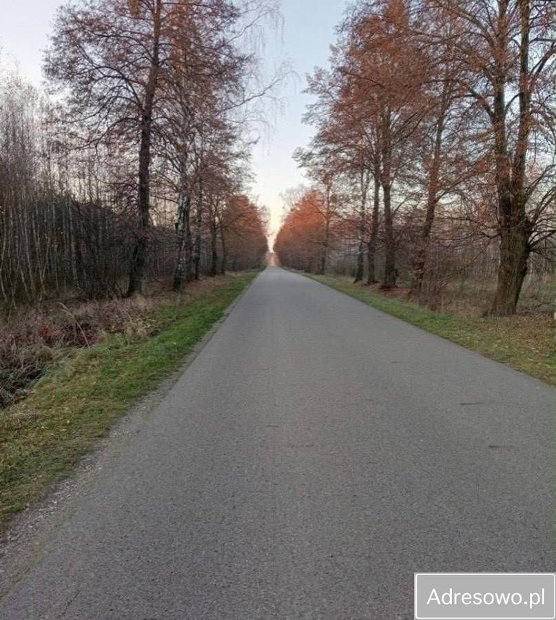 Działka budowlana Dąbrówka. Zdjęcie 6