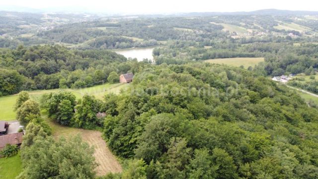 Działka rolno-budowlana Nowy Wiśnicz. Zdjęcie 7