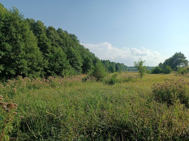 Działka rolna Rudnik nad Sanem. Zdjęcie 1