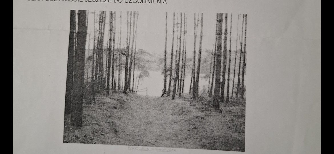 Działka rolna Hornowo