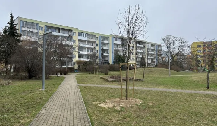 Mieszkanie 3-pokojowe Gdańsk Zaspa, ul. Dywizjonu 303