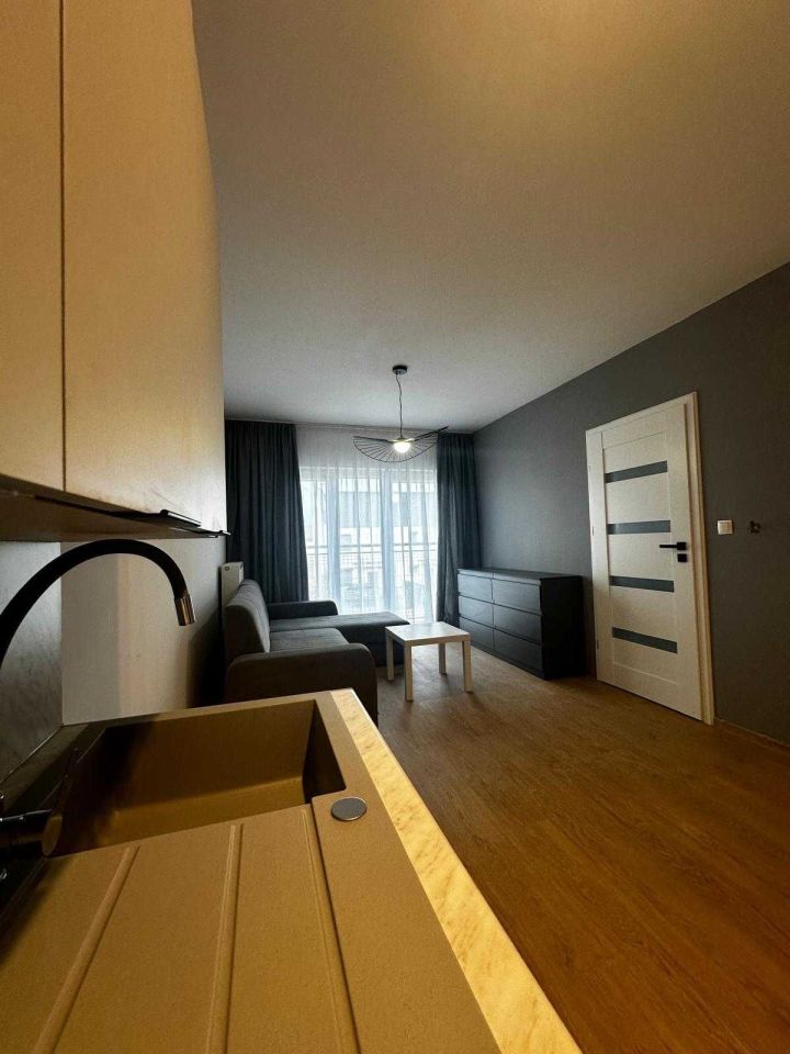 Mieszkanie 2-pokojowe Plewiska. Zdjęcie 7