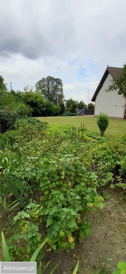 Działka rolno-budowlana Wrocław Swojczyce, ul. Miłoszycka. Zdjęcie 3
