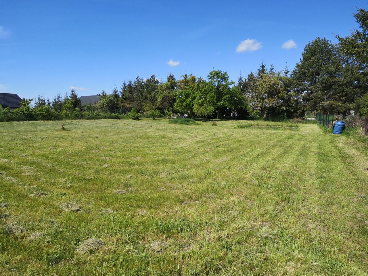 Działka rolna Banie. Zdjęcie 3