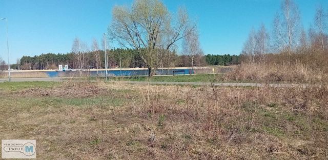 Działka leśna Morawica. Zdjęcie 7