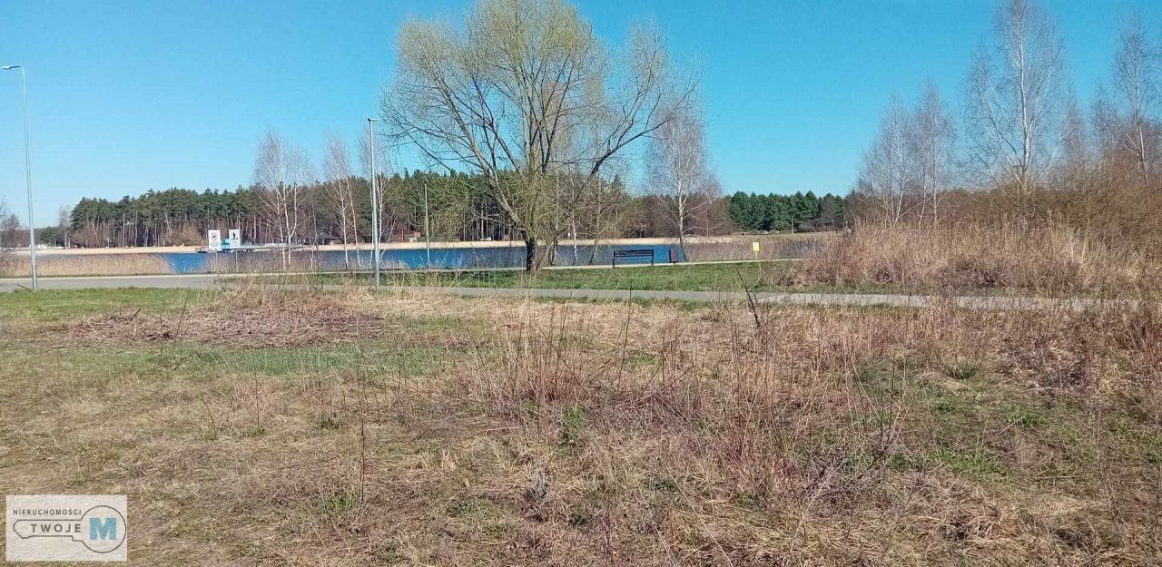 Działka leśna Morawica. Zdjęcie 7