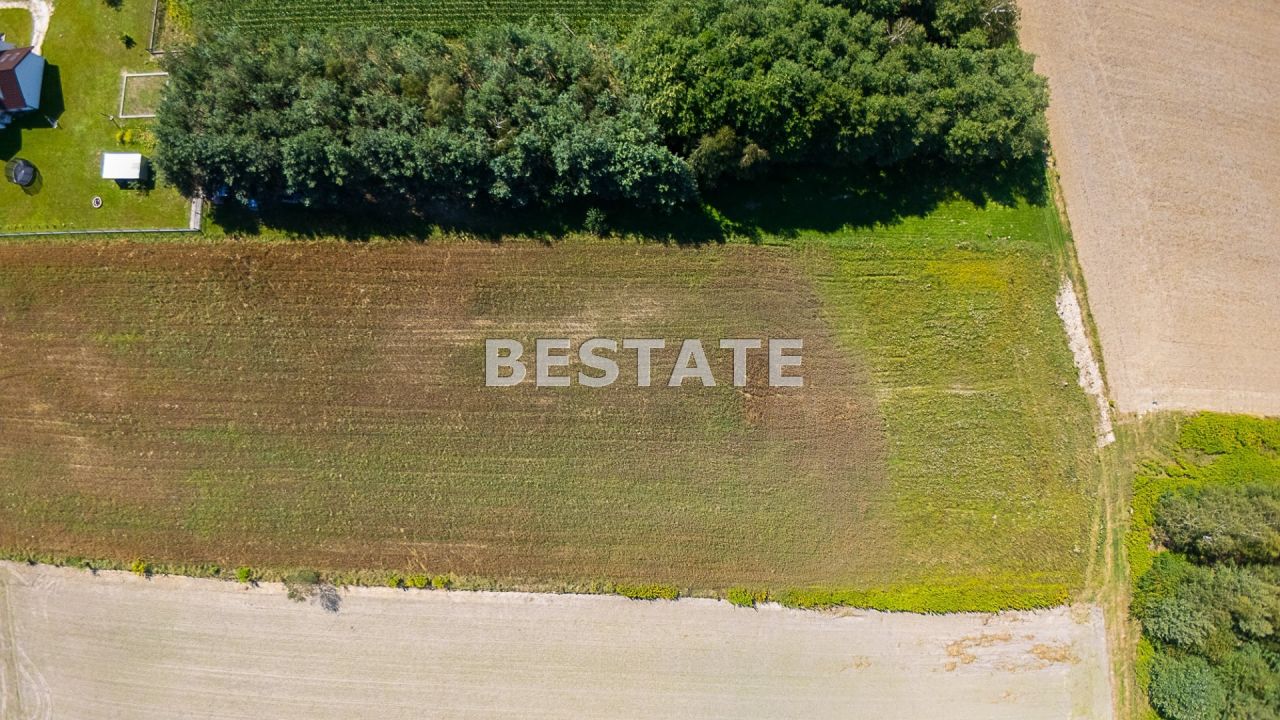 Działka budowlana Lisia Góra. Zdjęcie 5