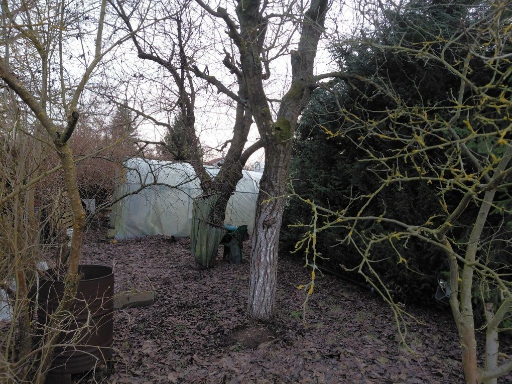 Działka rod Gryfino. Zdjęcie 3