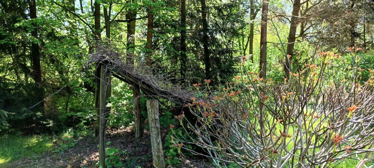 Działka siedliskowa Krzywowierzba. Zdjęcie 7