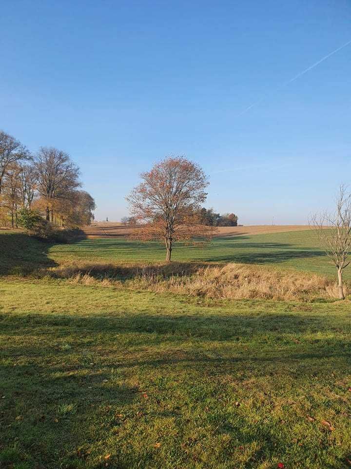 Działka budowlana Chłopowo. Zdjęcie 4