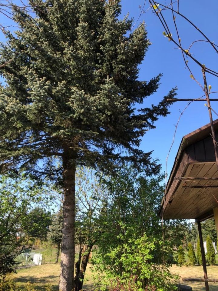 Działka rod Trzcianka. Zdjęcie 4