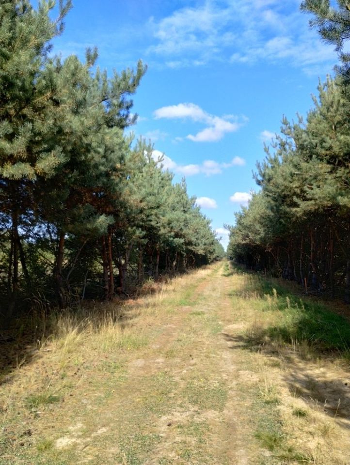 Działka budowlana Mlecze, ul. Truskawkowa. Zdjęcie 3