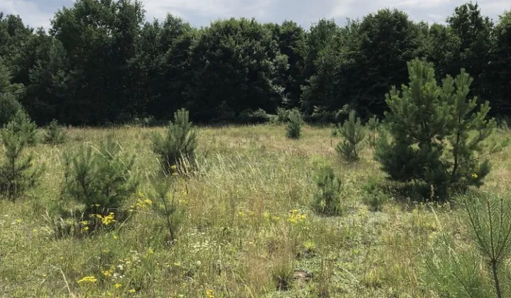 Działka rolno-budowlana Pruska Łąka
