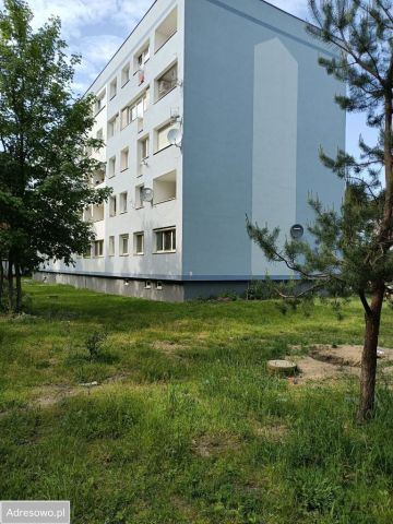 Mieszkanie 2-pokojowe Szczytnica. Zdjęcie 1