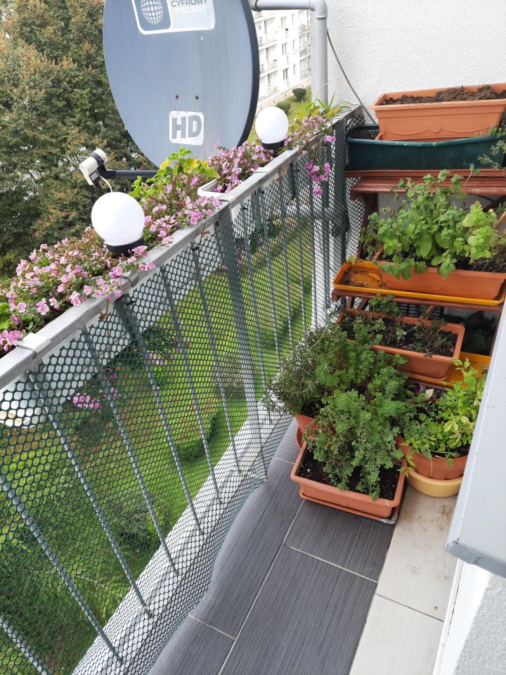 Mieszkanie 2-pokojowe Kędzierzyn-Koźle Koźle, ul. Spółdzielców. Zdjęcie 7