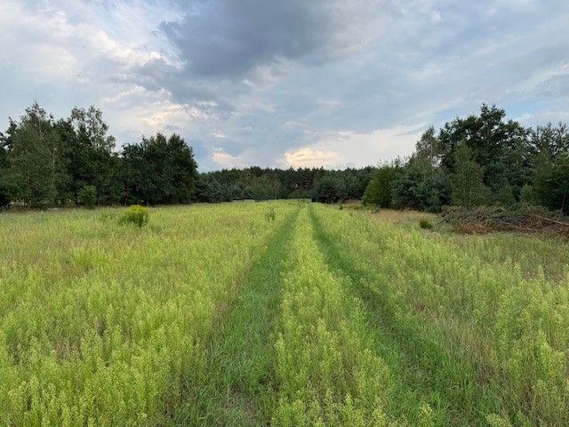 Działka rolno-budowlana Kuligów, ul. Dębinowa. Zdjęcie 10