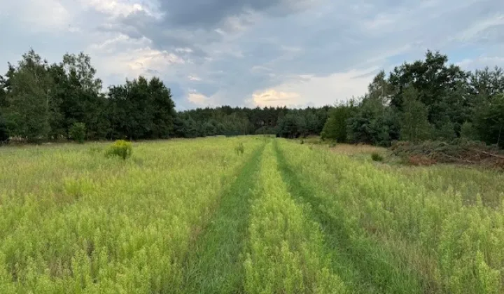 Działka rolno-budowlana Kuligów, ul. Dębinowa