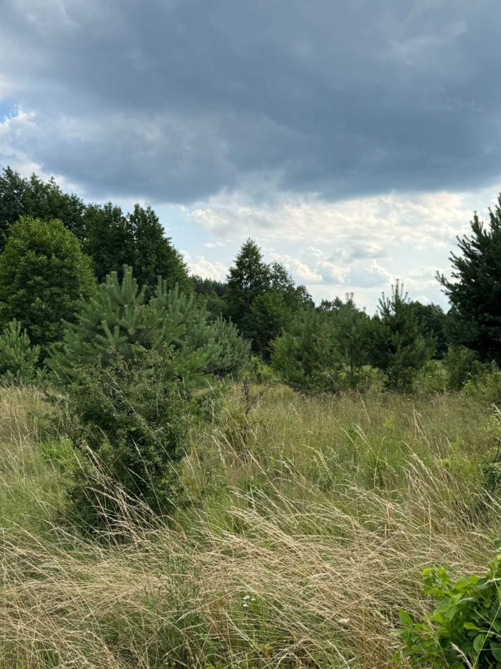 Działka leśna Oseredek