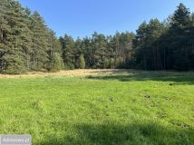 Działka rolna Orle, ul. Łąkowa. Zdjęcie 4