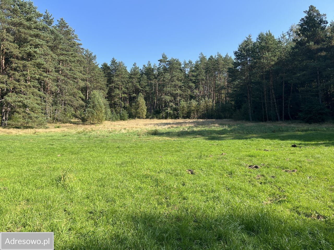 Działka rolna Orle, ul. Łąkowa. Zdjęcie 5