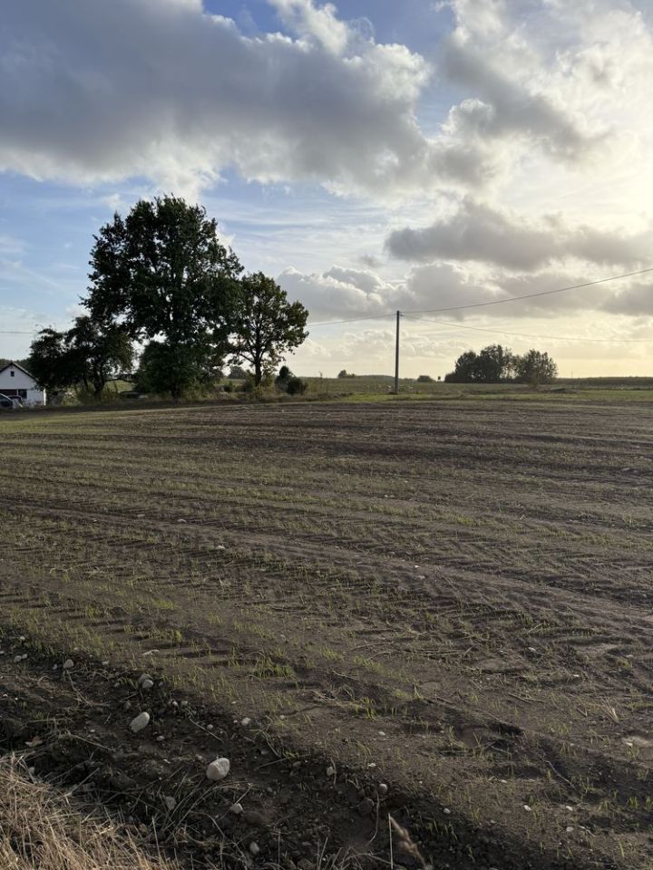 Działka budowlana Mały Klincz. Zdjęcie 5