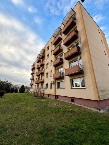 Mieszkanie 3-pokojowe Kędzierzyn-Koźle Koźle. Zdjęcie 1