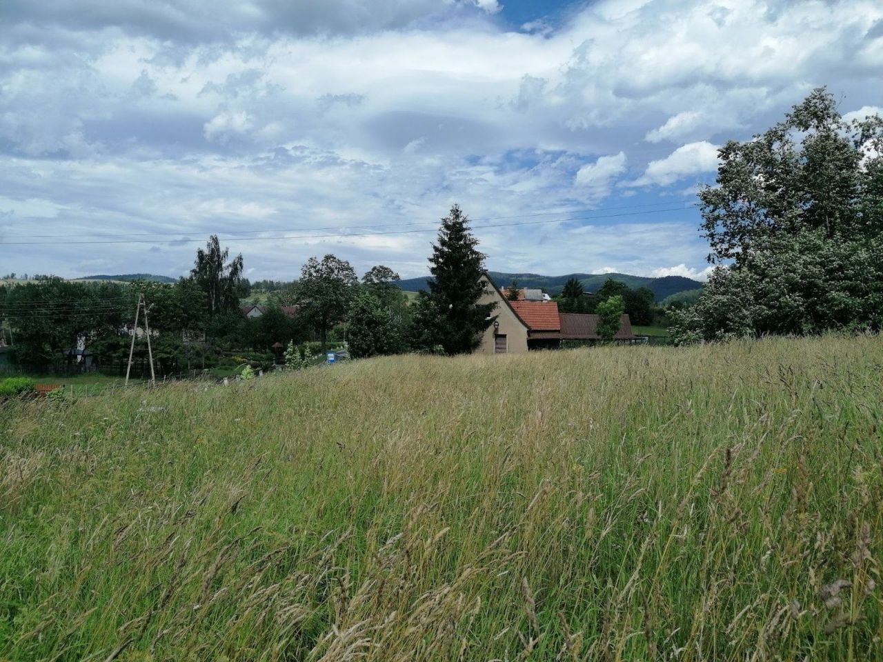 Działka rolno-budowlana Dzikowiec Dębówka, ul. Dębówka. Zdjęcie 4