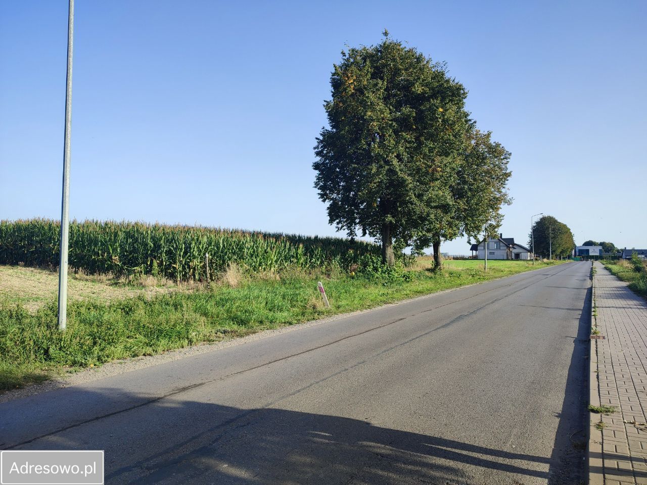 Działka budowlana Bełżyce, ul. Przemysłowa. Zdjęcie 6