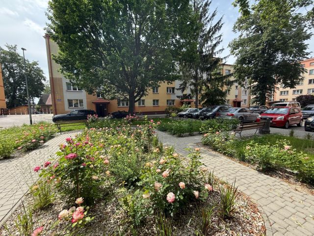 Mieszkanie 1-pokojowe Jarosław Lachmanówka, os. Wojska Polskiego. Zdjęcie 1