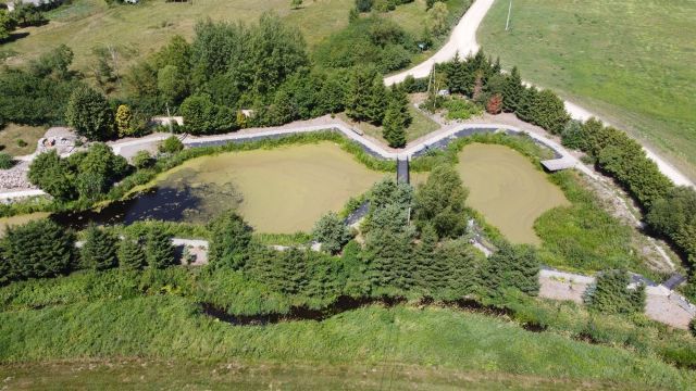 dom wolnostojący, 4 pokoje Grodzisko. Zdjęcie 8