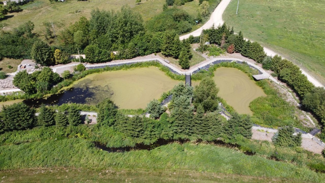 dom wolnostojący, 4 pokoje Grodzisko. Zdjęcie 8