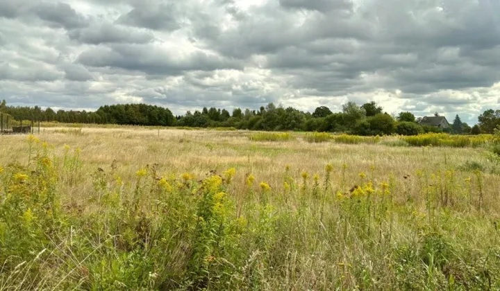 Działka budowlana Lubnów, ul. Polna