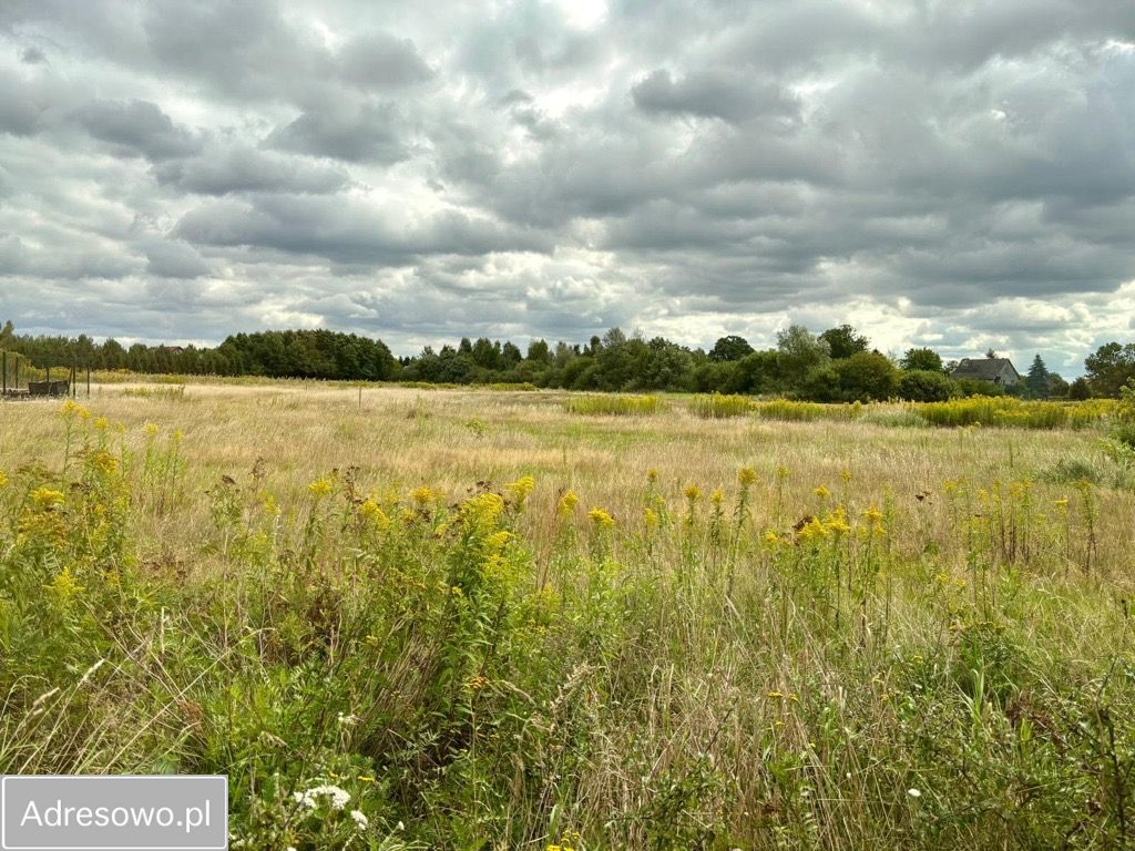 Działka budowlana Lubnów, ul. Polna. Zdjęcie 1