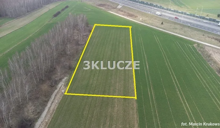 Działka rolna Dąbrowica